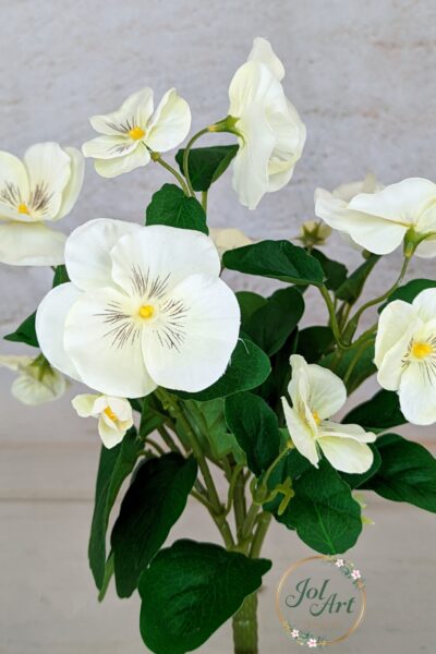 Bukiet bratek SUN418 WHITE 1 sztuka