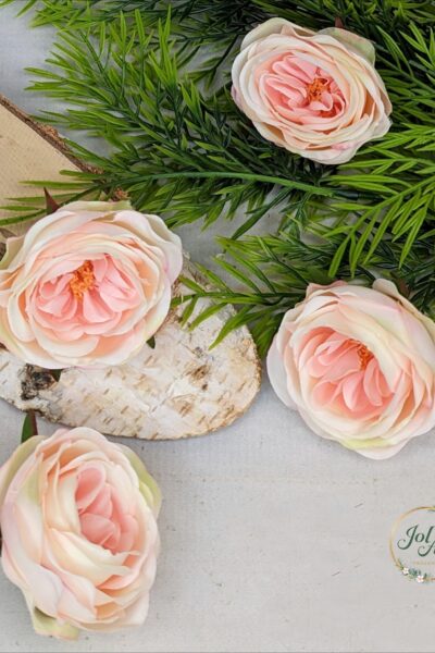 Róża wyrobowa SUN602 DELICATE APRICOT 24 sztuki