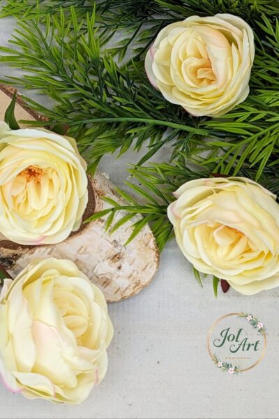 Róża wyrobowa SUN602 VANILLA PUDDING 24 sztuki